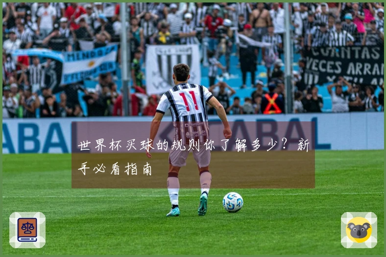 世界杯买球的规则你了解多少？新手必看指南