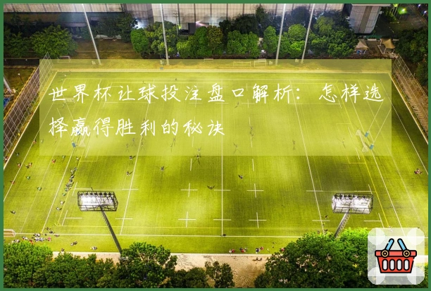世界杯让球投注盘口解析：怎样选择赢得胜利的秘诀