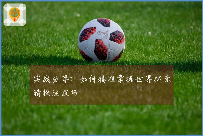 实战分享：如何精准掌握世界杯竞猜投注技巧