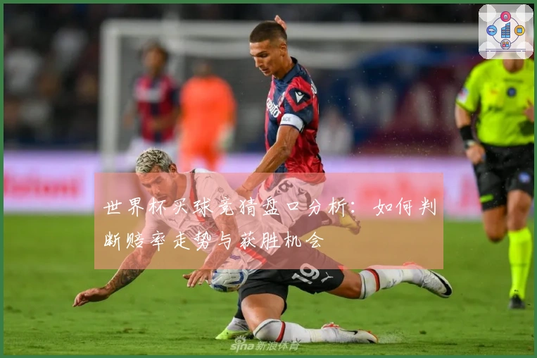 世界杯买球竞猜盘口分析：如何判断赔率走势与获胜机会