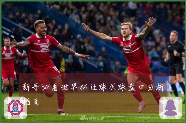新手必看世界杯让球买球盘口分析指南