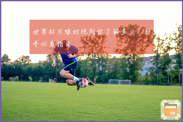 世界杯买球的规则你了解多少？新手必看指南