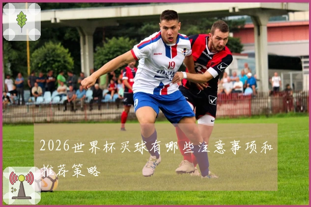 2026世界杯买球有哪些注意事项和推荐策略